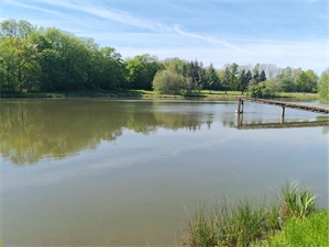 etang à la vente -   16420  SAULGOND, surface 30500 m2 vente etang - UBI443108168